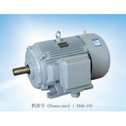 專業(yè)的閥門電機，哪里可以買到精湛的YE2系列三相異步電動機