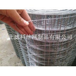 全球領導品牌¤廠家濾科供應優(yōu)質不銹鋼鋼筋電焊網(wǎng)，價格也不