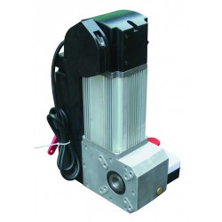 專業(yè)的麒麟工業(yè)門(mén)電機(jī)