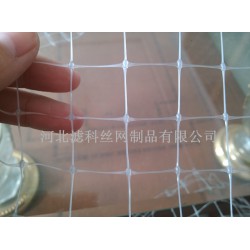 人氣新品，誠意來襲★雙向拉伸塑料網(wǎng)