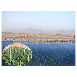 市場上品牌好的灌漿膜在哪里可以找到，灌漿膜圖片