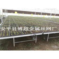 河北全新移動(dòng)苗床，大棚育苗床