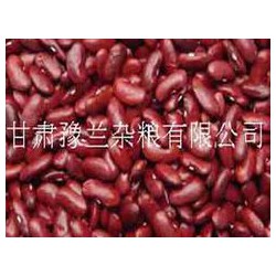 白銀黃豆 價格合理的雜糧批發(fā)【甘肅】