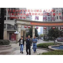 濰坊可信賴的蔬菜大棚建造公司，當屬千匯溫室——蔬菜大棚造價