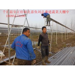 濰坊可靠的蔬菜大棚建造公司，當屬千匯溫室，蔬菜大棚建造