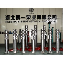 博一泵業(yè)供應(yīng)質(zhì)量好的不銹鋼潛水泵——耐腐蝕潛水泵價(jià)格優(yōu)惠
