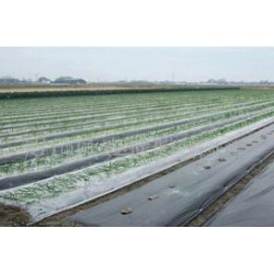 想買品牌好的除草地膜，就到開元塑料   ——山東地膜