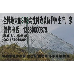 遂寧被動(dòng)網(wǎng)，新款被動(dòng)防護(hù)網(wǎng)成都有售