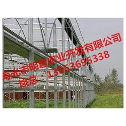 【誠薦】智能溫室大棚建設(shè)訊息，溫室大棚搭建報(bào)價(jià)