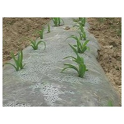 具有口碑的玉米地膜提供商，當(dāng)屬南寧市晟和興塑膠，貴州哪里有農(nóng)用地膜
