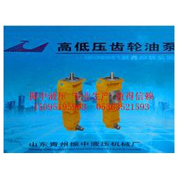 優(yōu)質(zhì)雙聯(lián)齒輪油泵認準振中液壓機械，雙聯(lián)齒輪油泵