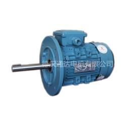 YE3超高效三相異步電動(dòng)機(jī)供應(yīng)商哪家好 珠三角三相異步電動(dòng)機(jī)