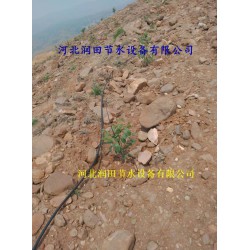 絳縣果樹(shù)滴灌PE管|小管出流、網(wǎng)式過(guò)濾器|配套促銷