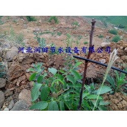 果樹(shù)滴灌PE管廠家