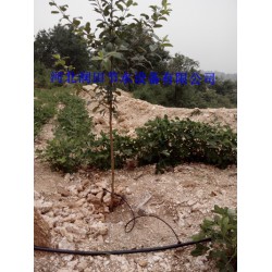 山西絳縣果樹(shù)滴灌PE管方式 網(wǎng)式過(guò)濾器廠家指導(dǎo)分析