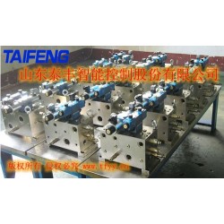 泰豐品牌二通插裝閥標準100T主缸系統(tǒng)