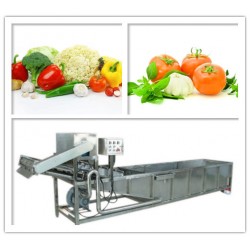 供應(yīng)玉米清洗機(jī) 蔬菜清洗機(jī) 整套凈菜加工流水線設(shè)備