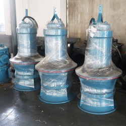 德能水泵 全國(guó)泵業(yè)十大排名推廣產(chǎn)品 800QZB潛水軸流泵
