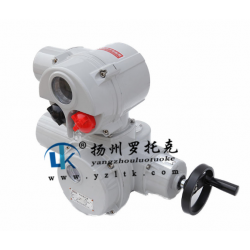 電動(dòng)執(zhí)行器_電動(dòng)閥門-揚(yáng)州羅托克儀器儀表有限公司