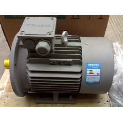 1MT0013粉塵防爆三相異步電動機(jī)茵夢達(dá)貝得電機(jī)西安經(jīng)銷商