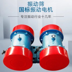 立臥式交流調(diào)速電動機 節(jié)能電機
